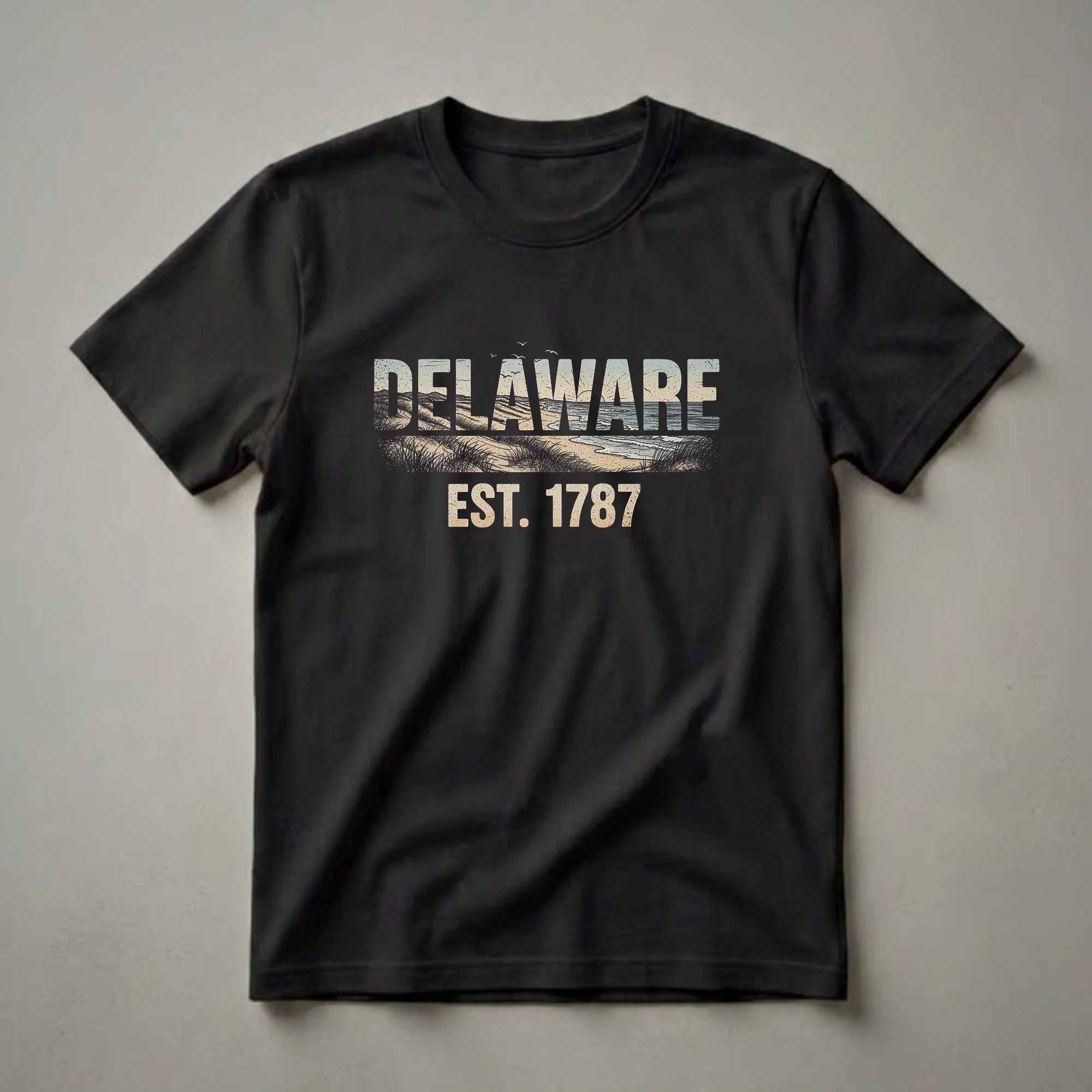Black t-shirt with a retro graphic design. The word DELAWARE is filled with a beach scene including dunes, grass, ocean, and seagulls. Below it reads EST. 1787 in a distressed font.